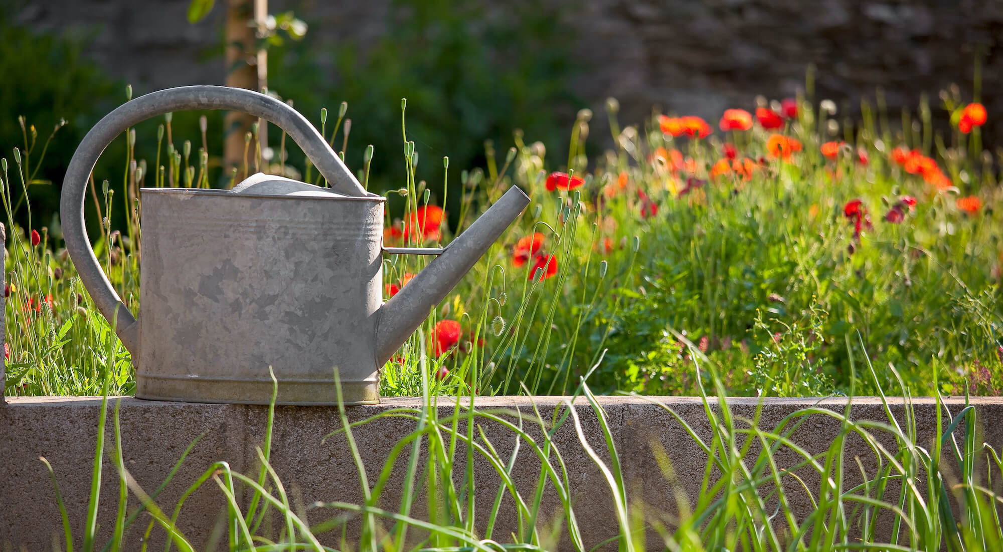 Stauraum im Garten mit österreichischer Produktion Bei